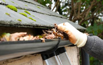 gutter cleaning Elmesthorpe, Leicestershire